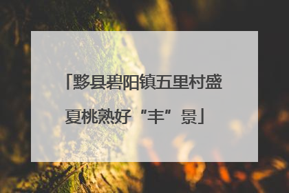 黟县碧阳镇五里村盛夏桃熟好“丰”景