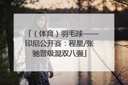 （体育）羽毛球——印尼公开赛：程星/张驰晋级混双八强