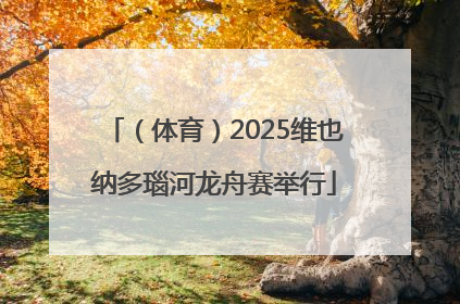 （体育）2025维也纳多瑙河龙舟赛举行