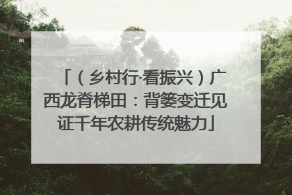 （乡村行·看振兴）广西龙脊梯田：背篓变迁见证千年农耕传统魅力