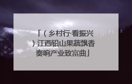 （乡村行·看振兴）江西铅山果蔬飘香 奏响产业致富曲