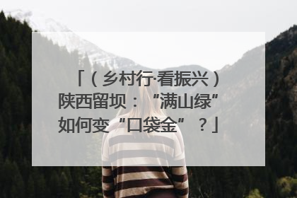 (乡村行·看振兴)陕西留坝:“满山绿”如何变“口袋金”?