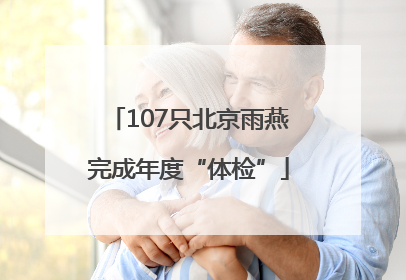 107只北京雨燕完成年度“体检”