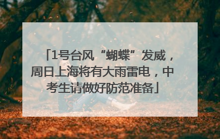 1号台风“蝴蝶”发威，周日上海将有大雨雷电，中考生请做好防范准备