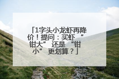 1字头小龙虾再降价！提问：买虾 “钳大” 还是 “钳小” 更划算？