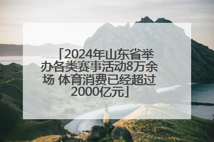 2024年山东省举办各类赛事活动8万余场 体育消费已经超过2000亿元