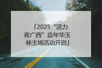 2025“活力夜广西”嘉年华玉林主场活动开启