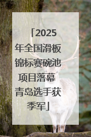 2025年全国滑板锦标赛碗池项目落幕 青岛选手获季军