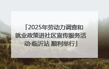 2025年劳动力调查和就业政策进社区宣传服务活动·临沂站 顺利举行