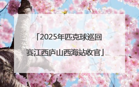 2025年匹克球巡回赛江西庐山西海站收官