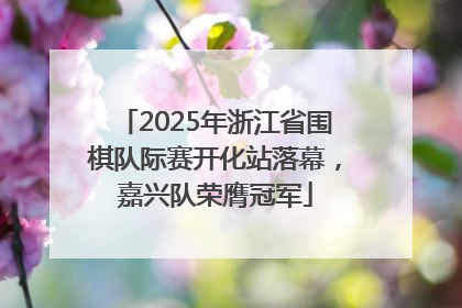 2025年浙江省围棋队际赛开化站落幕，嘉兴队荣膺冠军