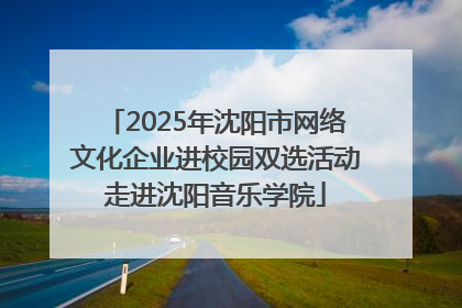 2025年沈阳市网络文化企业进校园双选活动走进沈阳音乐学院