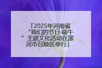 2025年河南省“我们的节日·端午”主题文化活动在漯河市召陵区举行