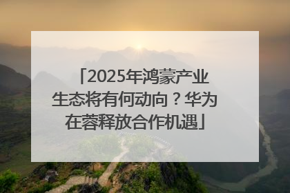 2025年鸿蒙产业生态将有何动向？华为在蓉释放合作机遇