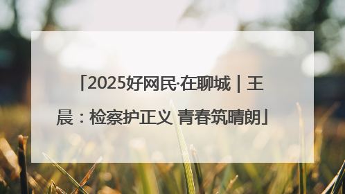 2025好网民·在聊城｜王晨：检察护正义 青春筑晴朗