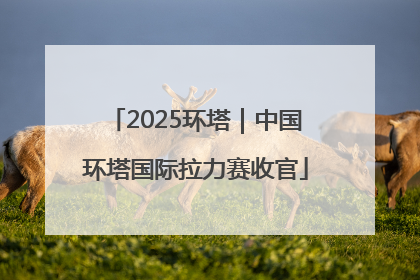 2025环塔｜中国环塔国际拉力赛收官