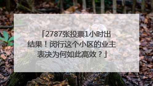 2787张投票1小时出结果！闵行这个小区的业主表决为何如此高效？