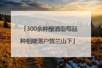 300余种酿酒葡萄品种相继落户贺兰山下