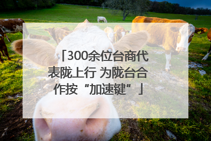 300余位台商代表陇上行 为陇台合作按“加速键”