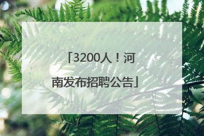 3200人！河南发布招聘公告