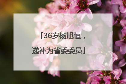 36岁杨旭恒，递补为省委委员