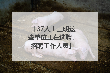 37人！三明这些单位正在选聘、招聘工作人员