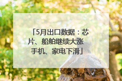 5月出口数据：芯片、船舶继续大涨 手机、家电下滑