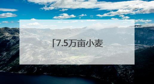 7.5万亩小麦喜开夏收第一镰