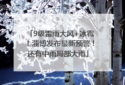 9级雷雨大风+冰雹！淄博发布最新预警！还有中雨局部大雨