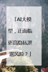 AI大模型，正面临更高隐私泄露风险？
