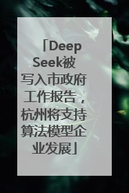 DeepSeek被写入市政府工作报告，杭州将支持算法模型企业发展