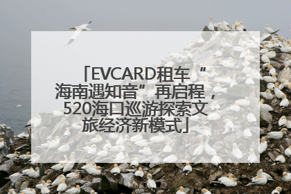 EVCARD租车“海南遇知音”再启程，520海口巡游探索文旅经济新模式