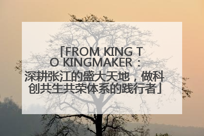FROM KING TO KINGMAKER：深耕张江的盛大天地，做科创共生共荣体系的践行者